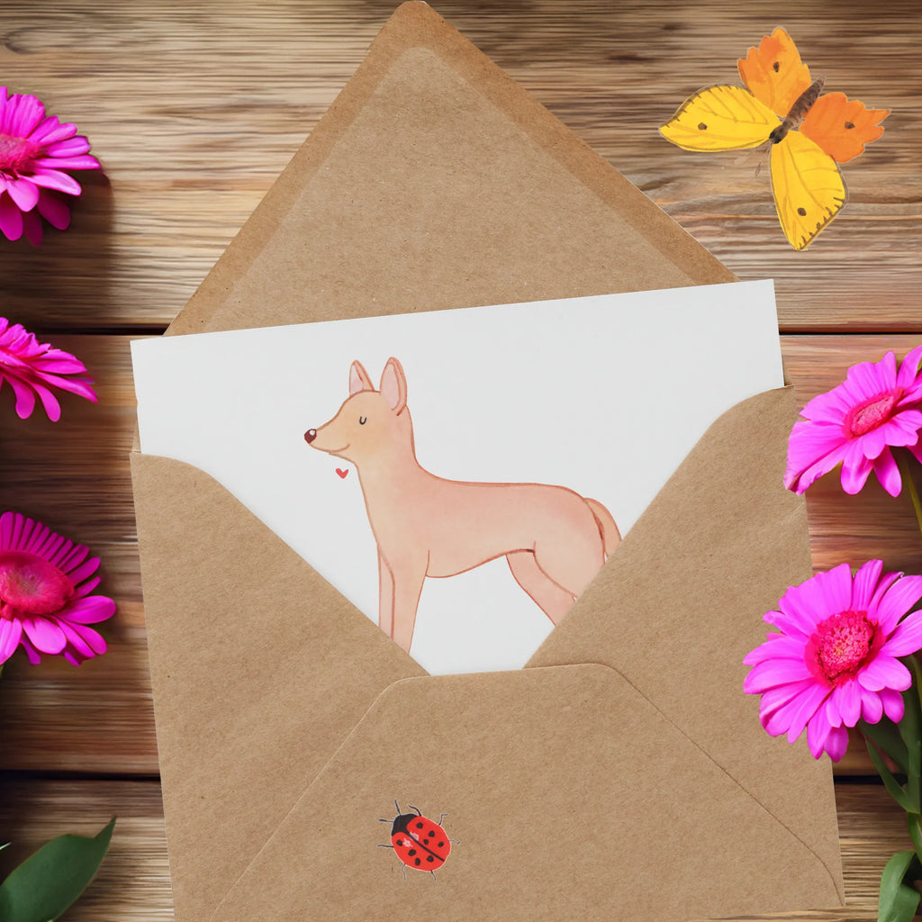 Deluxe Card Pharaonenhunde - Anmutige Begleiter aus dem Land der Pyramiden Klappkarte, Glückwunschkarte, Hochzeitskarte, Grußkarte, Hochwertige Klappkarte, Geburtstagskarte, Hochwertige Grußkarte, Karte, Einladungskarte, Hund, Hunderasse, Rassehund, Hundebesitzer, Geschenk, Tierfreund, Schenken, Welpe