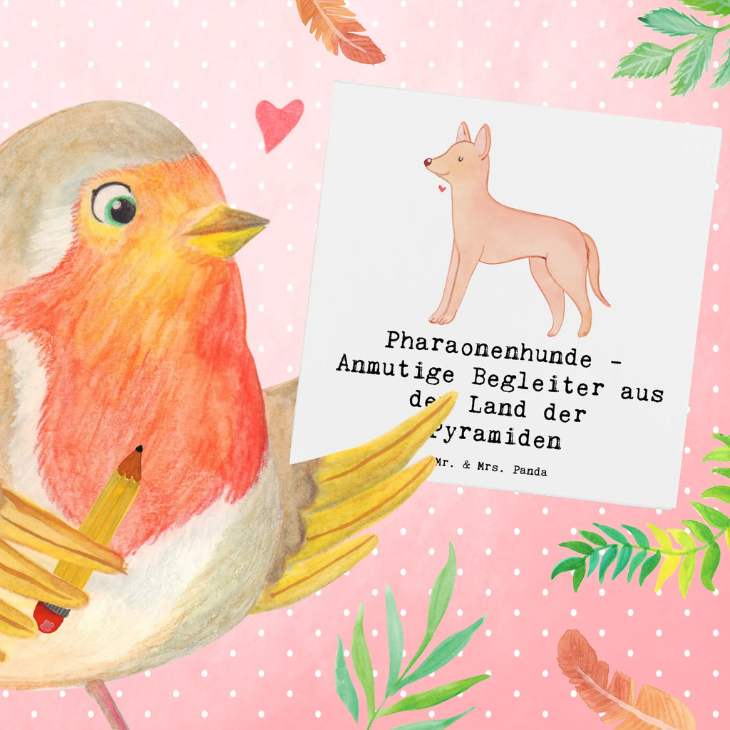 Deluxe Card Pharaonenhunde - Anmutige Begleiter aus dem Land der Pyramiden Klappkarte, Glückwunschkarte, Hochzeitskarte, Grußkarte, Hochwertige Klappkarte, Geburtstagskarte, Hochwertige Grußkarte, Karte, Einladungskarte, Hund, Hunderasse, Rassehund, Hundebesitzer, Geschenk, Tierfreund, Schenken, Welpe