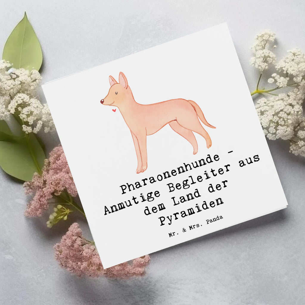 Deluxe Card Pharaonenhunde - Anmutige Begleiter aus dem Land der Pyramiden Klappkarte, Glückwunschkarte, Hochzeitskarte, Grußkarte, Hochwertige Klappkarte, Geburtstagskarte, Hochwertige Grußkarte, Karte, Einladungskarte, Hund, Hunderasse, Rassehund, Hundebesitzer, Geschenk, Tierfreund, Schenken, Welpe