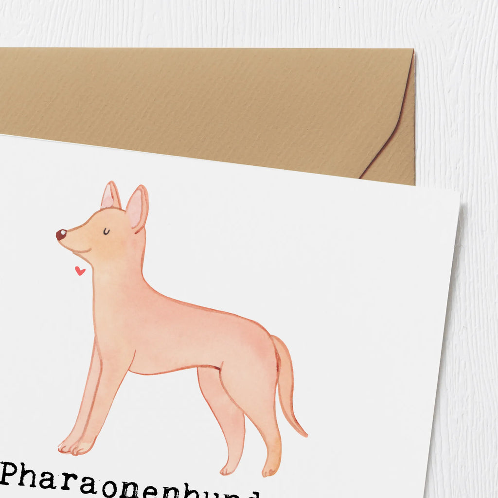 Deluxe Card Pharaonenhunde - Anmutige Begleiter aus dem Land der Pyramiden Klappkarte, Glückwunschkarte, Hochzeitskarte, Grußkarte, Hochwertige Klappkarte, Geburtstagskarte, Hochwertige Grußkarte, Karte, Einladungskarte, Hund, Hunderasse, Rassehund, Hundebesitzer, Geschenk, Tierfreund, Schenken, Welpe