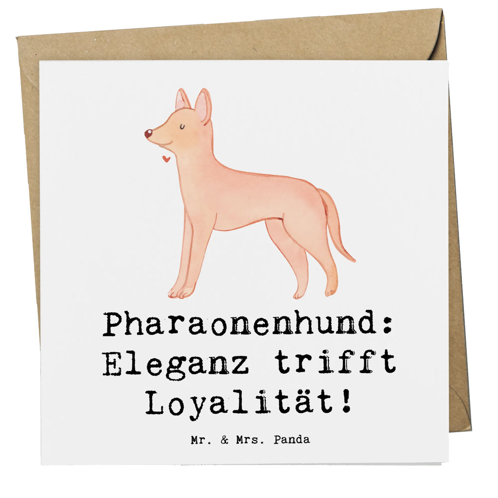 Deluxe Karte Pharaonenhund Eleganz Grußkarte, Karte, Klappkarte, Einladungskarte, Geburtstagskarte, Glückwunschkarte, Hochwertige Grußkarte, Hochwertige Klappkarte, Hochzeitskarte, Hund, Hunderasse, Rassehund, Hundebesitzer, Geschenk, Tierfreund, Schenken, Welpe