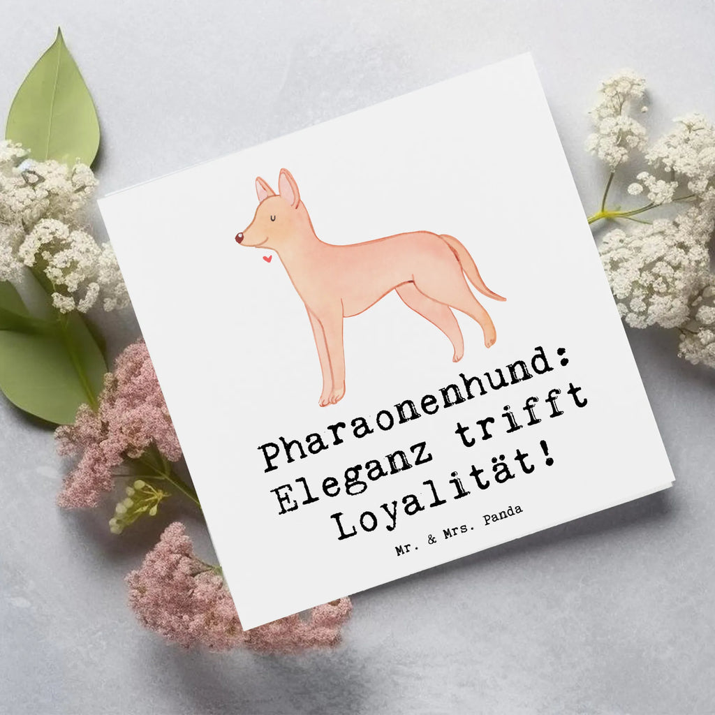 Deluxe Karte Pharaonenhund Eleganz Grußkarte, Karte, Klappkarte, Einladungskarte, Geburtstagskarte, Glückwunschkarte, Hochwertige Grußkarte, Hochwertige Klappkarte, Hochzeitskarte, Hund, Hunderasse, Rassehund, Hundebesitzer, Geschenk, Tierfreund, Schenken, Welpe