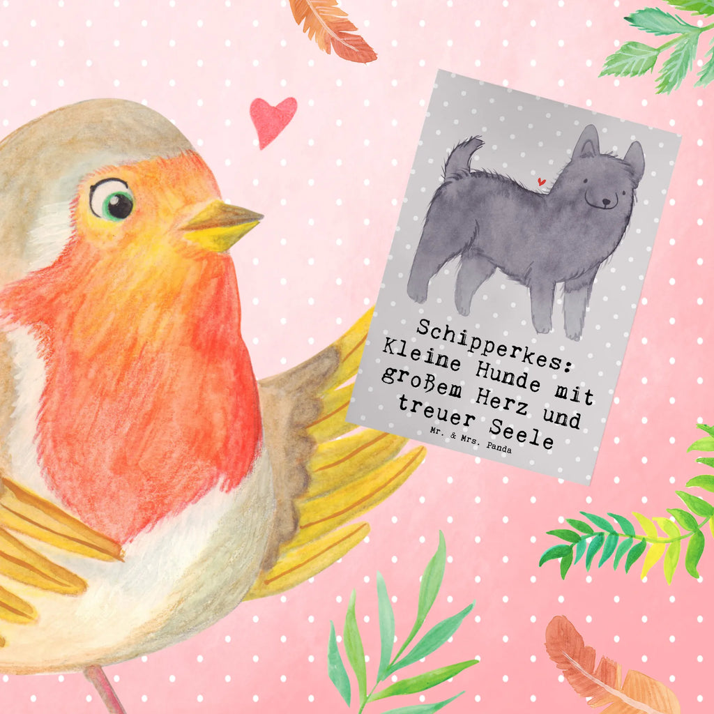 Greetings card Schipperkes: Kleine Hunde mit großem Herz und treuer Seele Karte, Glückwunschkarte, Geburtstagskarte, Hochzeitskarte, Grußkarte, Klappkarte, Einladungskarte, Ansichtskarten, Hund, Hunderasse, Rassehund, Hundebesitzer, Geschenk, Tierfreund, Schenken, Welpe