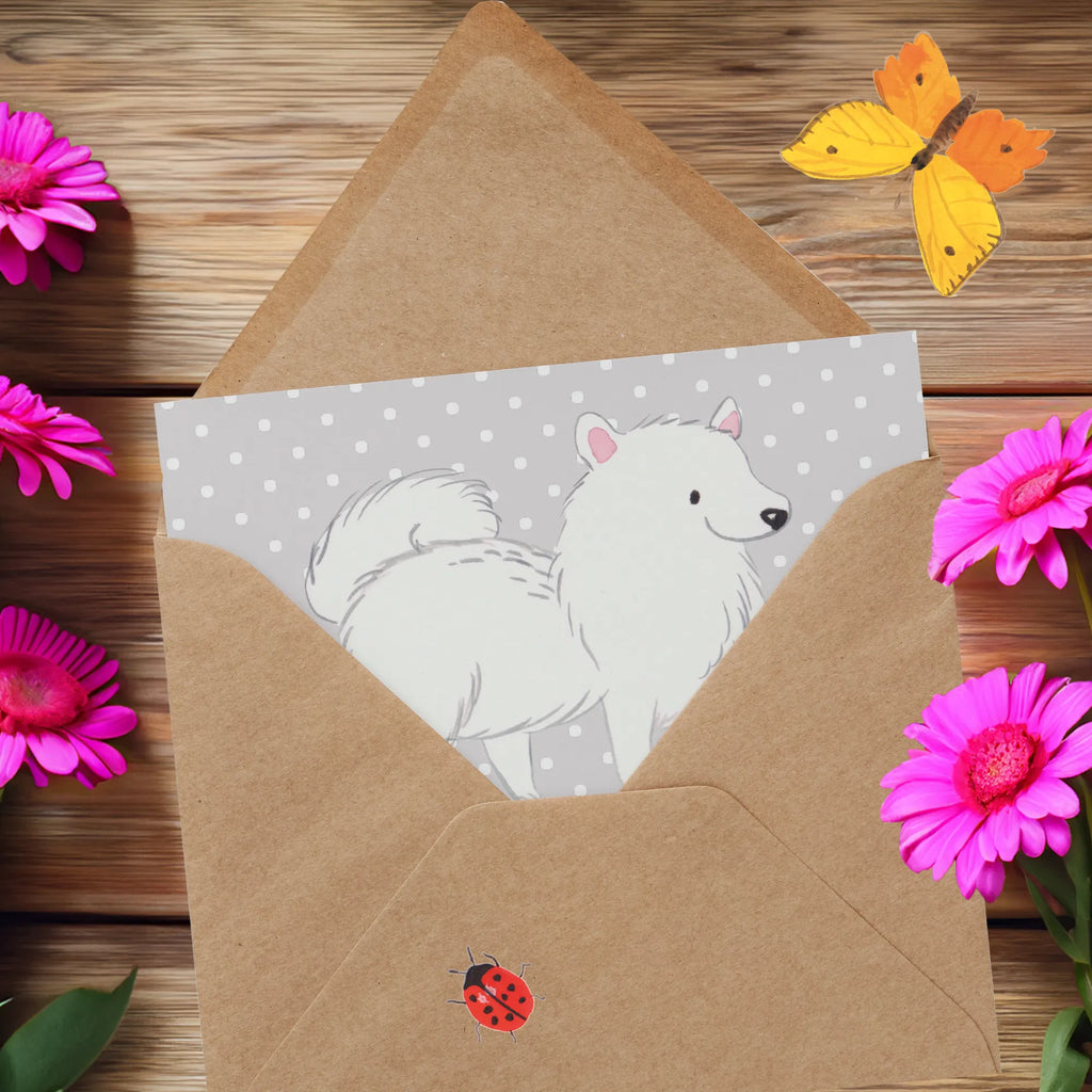 Deluxe Card Mit einem Spitz an deiner Seite wird jeder Tag zu einem freudigen Abenteuer! Karte, Hochwertige Grußkarte, Geburtstagskarte, Hochzeitskarte, Einladungskarte, Klappkarte, Glückwunschkarte, Grußkarte, Hochwertige Klappkarte, Hund, Hunderasse, Rassehund, Hundebesitzer, Geschenk, Tierfreund, Schenken, Welpe