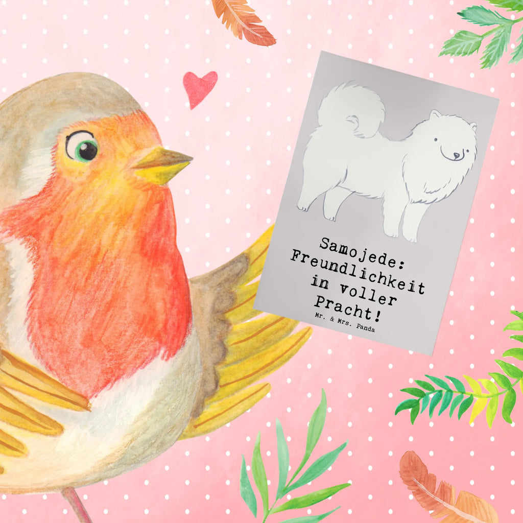Greetings card Samojede: Freundlichkeit in voller Pracht! Ansichtskarten, Hochzeitskarte, Geburtstagskarte, Grußkarte, Glückwunschkarte, Klappkarte, Karte, Einladungskarte, Hund, Hunderasse, Rassehund, Hundebesitzer, Geschenk, Tierfreund, Schenken, Welpe