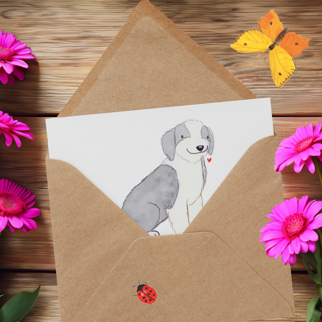Deluxe Card Mit einem Bearded Collie an deiner Seite ist das Leben voller Freude und Abenteuer! Klappkarte, Glückwunschkarte, Hochzeitskarte, Karte, Hochwertige Grußkarte, Geburtstagskarte, Grußkarte, Hochwertige Klappkarte, Einladungskarte, Hund, Hunderasse, Rassehund, Hundebesitzer, Geschenk, Tierfreund, Schenken, Welpe