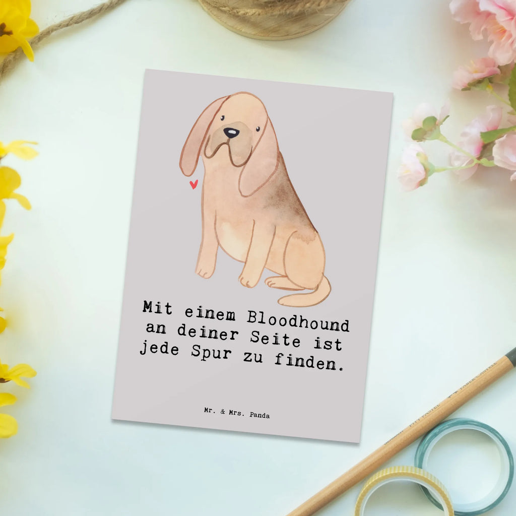 Postkarte Bloodhound Spur Einladungskarte, Geburtstagskarte, Dankeskarte, Ansichtskarte, Geschenkkarte, Grußkarte, Karte, Ansichtskarten, Einladungskarten Geburtstag, Einladung Geburtstag, Postkarte, Einladung, Hund, Hunderasse, Rassehund, Hundebesitzer, Geschenk, Tierfreund, Schenken, Welpe