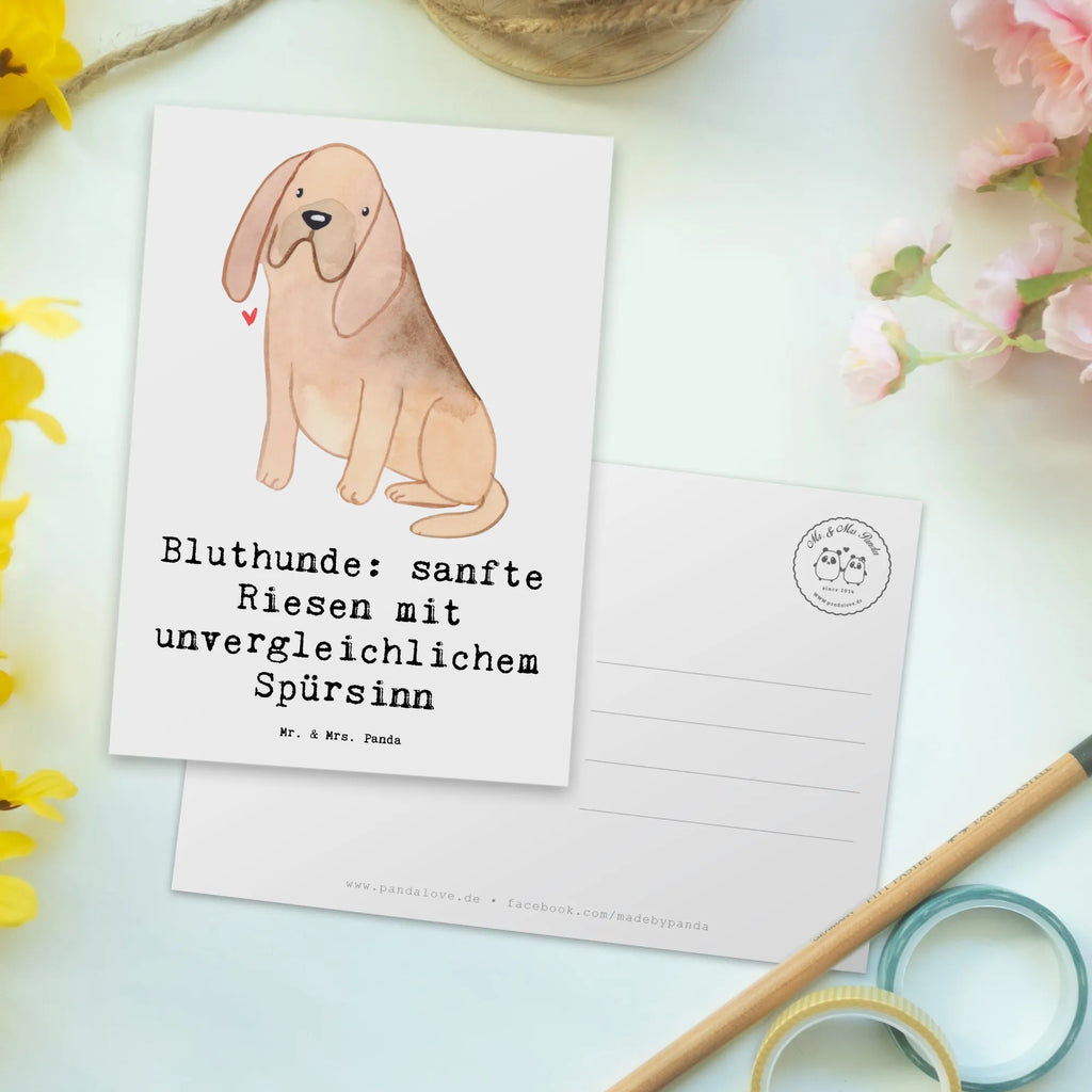 Postkarte Bluthunde Geburtstagskarte, Einladungskarte, Karte, Einladung Geburtstag, Postkarte, Geschenkkarte, Ansichtskarten, Ansichtskarte, Einladung, Grußkarte, Dankeskarte, Einladungskarten Geburtstag, Hund, Hunderasse, Rassehund, Hundebesitzer, Geschenk, Tierfreund, Schenken, Welpe