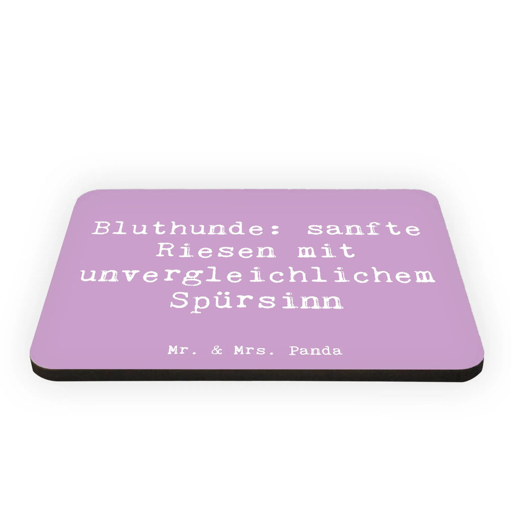 Magnet Saying Bluthunde: sanfte Riesen mit unvergleichlichem Spürsinn Whiteboard Magnet, Souvenir Magnet, Pinnwandmagnet, Notiz Magnet, Motivmagnete, Kühlschrankmagnet, Dekomagnet, Kühlschrank Dekoration, Hund, Hunderasse, Rassehund, Hundebesitzer, Geschenk, Tierfreund, Schenken, Welpe
