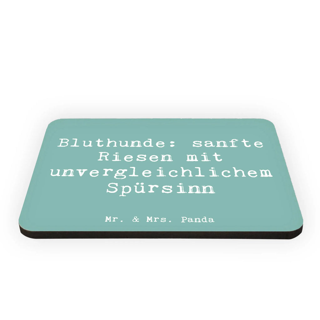 Magnet Saying Bluthunde: sanfte Riesen mit unvergleichlichem Spürsinn Whiteboard Magnet, Souvenir Magnet, Pinnwandmagnet, Notiz Magnet, Motivmagnete, Kühlschrankmagnet, Dekomagnet, Kühlschrank Dekoration, Hund, Hunderasse, Rassehund, Hundebesitzer, Geschenk, Tierfreund, Schenken, Welpe