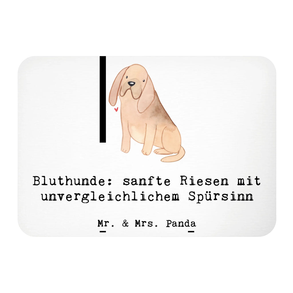 Magnet Bluthunde: sanfte Riesen mit unvergleichlichem Spürsinn Notiz Magnet, Kühlschrank Dekoration, Souvenir Magnet, Kühlschrankmagnet, Whiteboard Magnet, Motivmagnete, Pinnwandmagnet, Dekomagnet, Hund, Hunderasse, Rassehund, Hundebesitzer, Geschenk, Tierfreund, Schenken, Welpe