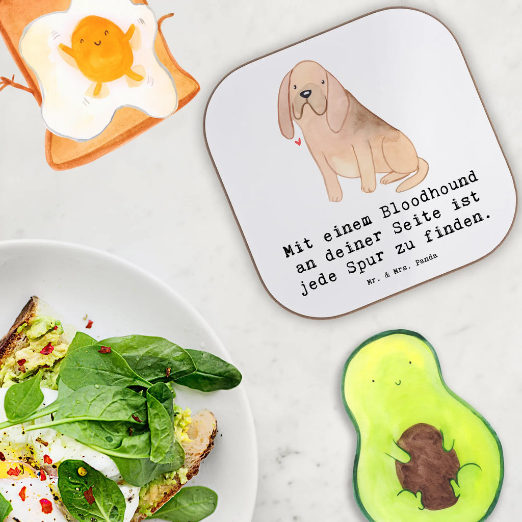 Square coaster Mit einem Bloodhound an deiner Seite ist jede Spur zu finden. Glasuntersetzer, Bierdeckel, Untersetzer Design, Untersetzer aus Holz, Untersetzer Gläser, Tassen Untersetzer, Holzuntersetzer, Getränkeuntersetzer, Korkuntersetzer, Untersetzer für Gläser, Untersetzer Holz, Untersetzer, Hund, Hunderasse, Rassehund, Hundebesitzer, Geschenk, Tierfreund, Schenken, Welpe