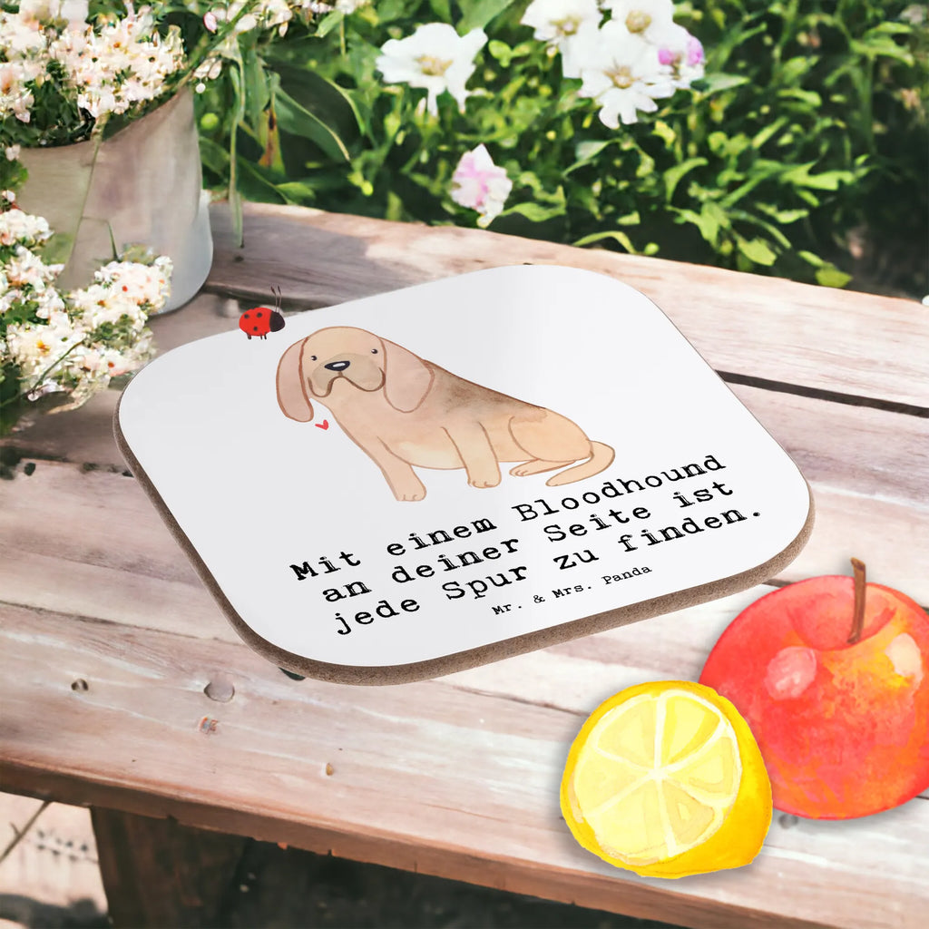 Square coaster Mit einem Bloodhound an deiner Seite ist jede Spur zu finden. Glasuntersetzer, Bierdeckel, Untersetzer Design, Untersetzer aus Holz, Untersetzer Gläser, Tassen Untersetzer, Holzuntersetzer, Getränkeuntersetzer, Korkuntersetzer, Untersetzer für Gläser, Untersetzer Holz, Untersetzer, Hund, Hunderasse, Rassehund, Hundebesitzer, Geschenk, Tierfreund, Schenken, Welpe