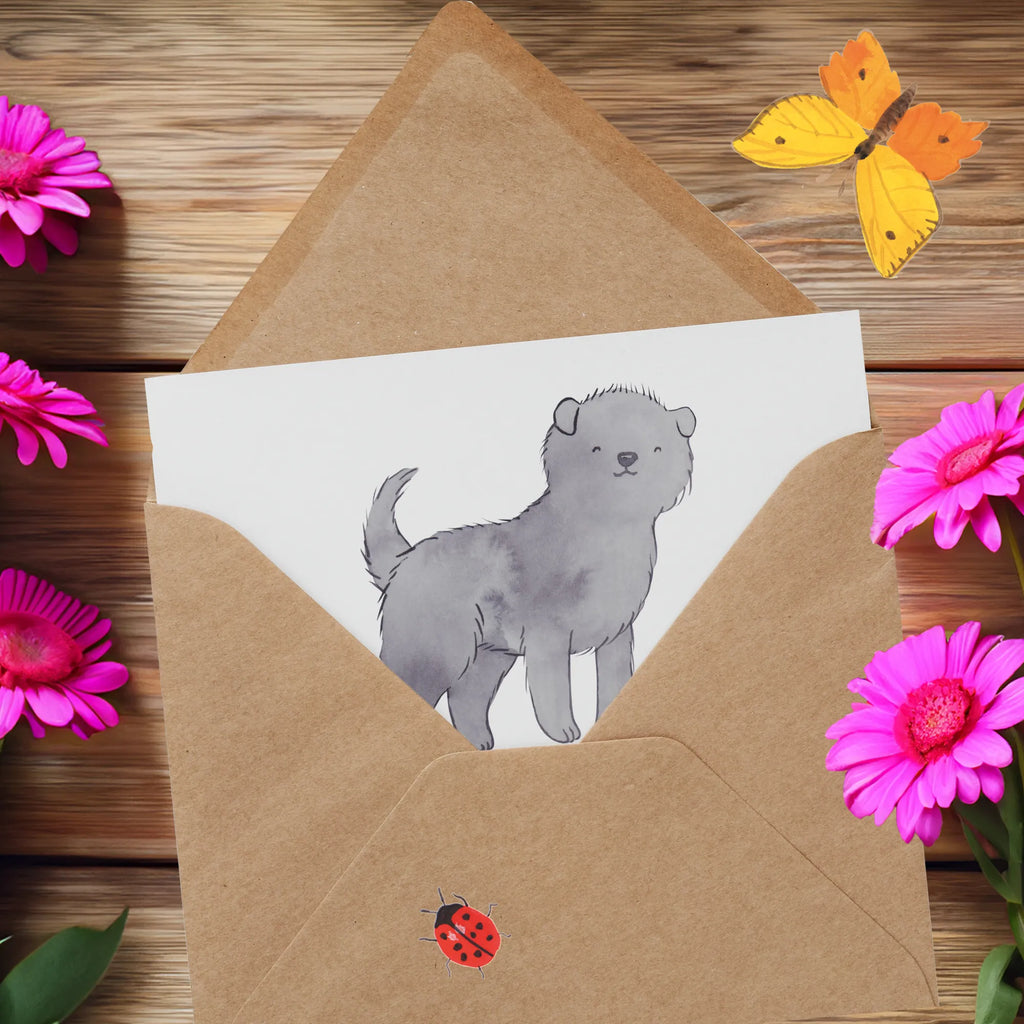 Deluxe Card Affenpinscher: Das knuddelige Äffchen unter den Hunden Karte, Grußkarte, Hochzeitskarte, Einladungskarte, Hochwertige Grußkarte, Klappkarte, Hochwertige Klappkarte, Glückwunschkarte, Geburtstagskarte, Hund, Hunderasse, Rassehund, Hundebesitzer, Geschenk, Tierfreund, Schenken, Welpe