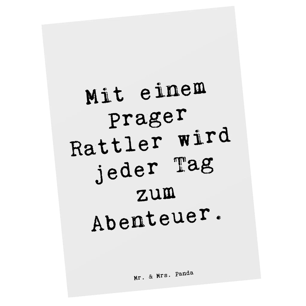 Postkarte Spruch Prager Rattler Abenteuer Einladung Geburtstag, Ansichtskarten, Karte, Ansichtskarte, Postkarte, Geschenkkarte, Grußkarte, Einladungskarten Geburtstag, Einladungskarte, Geburtstagskarte, Einladung, Dankeskarte, Hund, Hunderasse, Rassehund, Hundebesitzer, Geschenk, Tierfreund, Schenken, Welpe