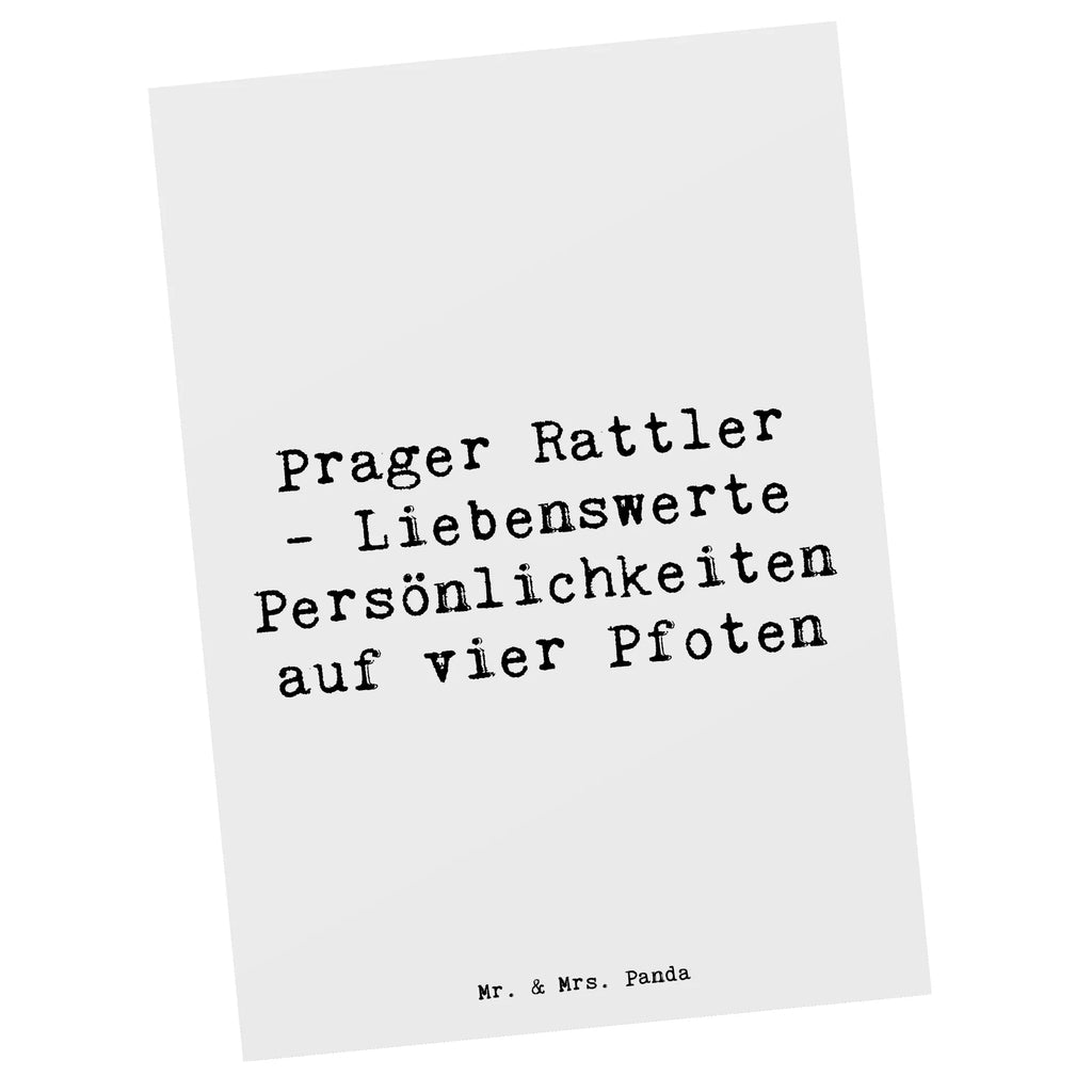 Postkarte Spruch Prager Rattler Grußkarte, Ansichtskarte, Ansichtskarten, Einladung, Einladung Geburtstag, Geburtstagskarte, Einladungskarte, Geschenkkarte, Karte, Einladungskarten Geburtstag, Postkarte, Dankeskarte, Hund, Hunderasse, Rassehund, Hundebesitzer, Geschenk, Tierfreund, Schenken, Welpe