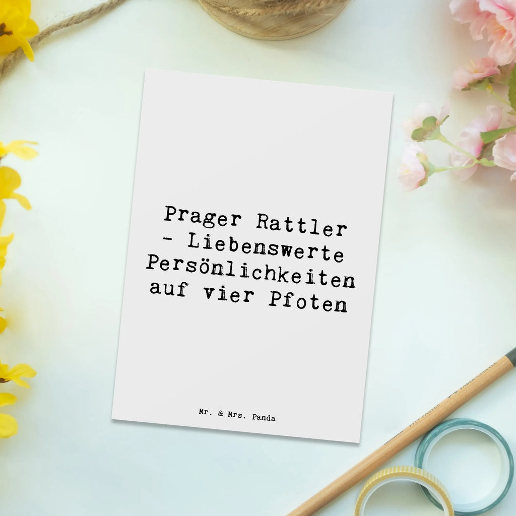 Postkarte Spruch Prager Rattler Grußkarte, Ansichtskarte, Ansichtskarten, Einladung, Einladung Geburtstag, Geburtstagskarte, Einladungskarte, Geschenkkarte, Karte, Einladungskarten Geburtstag, Postkarte, Dankeskarte, Hund, Hunderasse, Rassehund, Hundebesitzer, Geschenk, Tierfreund, Schenken, Welpe