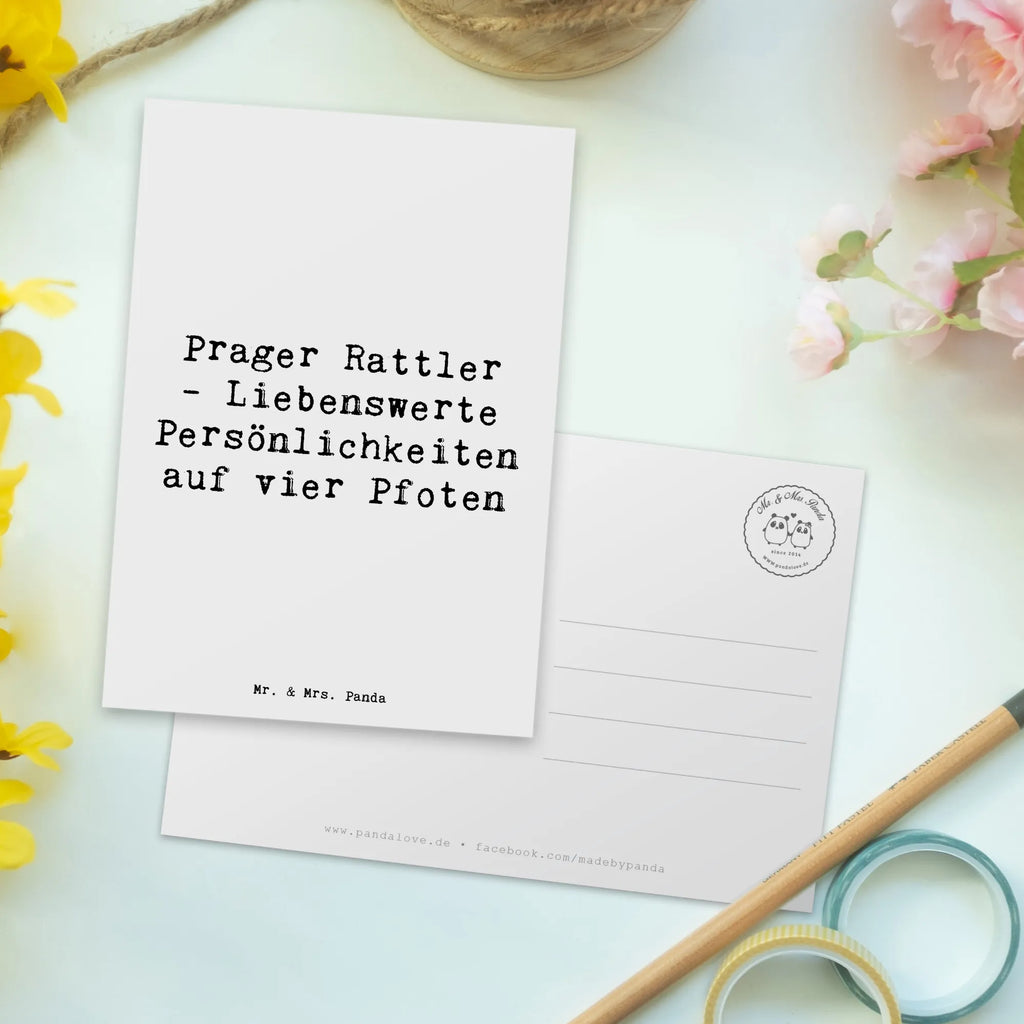 Postkarte Spruch Prager Rattler Grußkarte, Ansichtskarte, Ansichtskarten, Einladung, Einladung Geburtstag, Geburtstagskarte, Einladungskarte, Geschenkkarte, Karte, Einladungskarten Geburtstag, Postkarte, Dankeskarte, Hund, Hunderasse, Rassehund, Hundebesitzer, Geschenk, Tierfreund, Schenken, Welpe