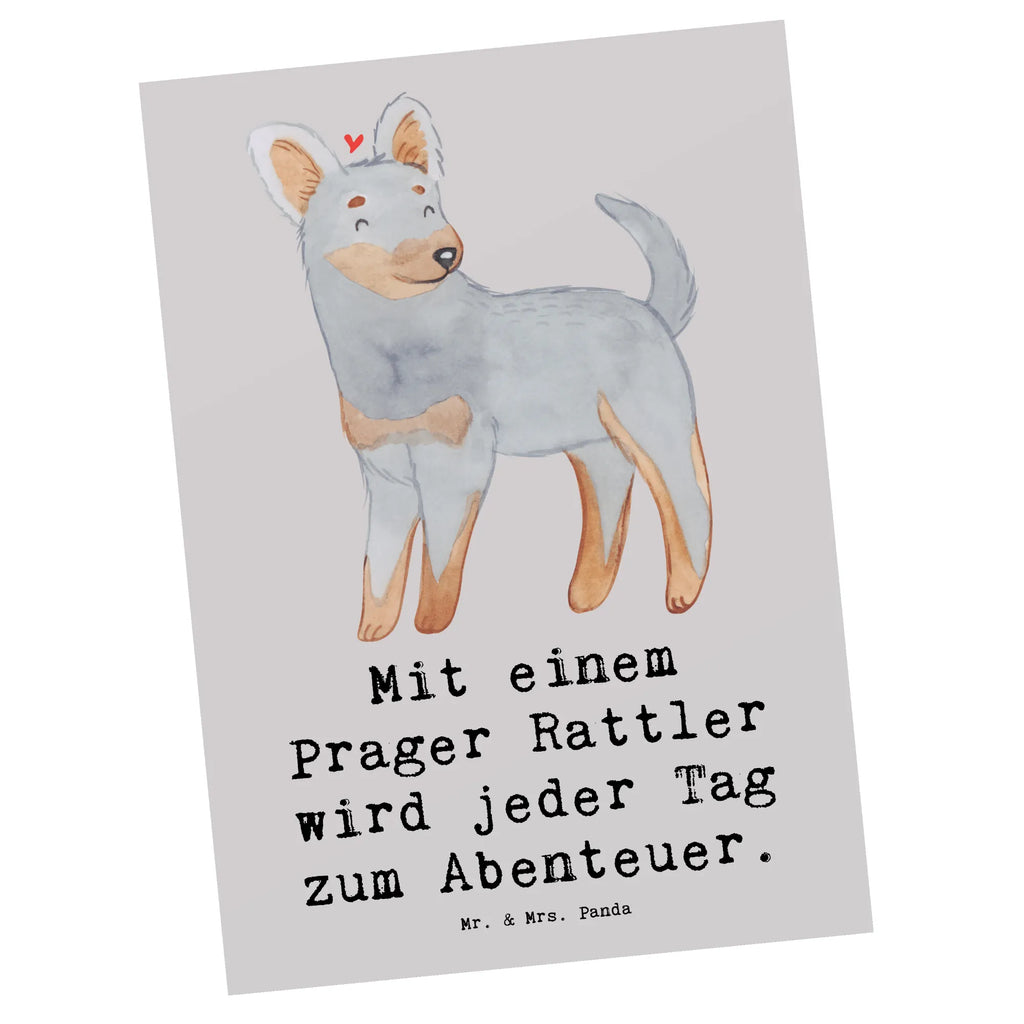 Postcard Mit einem Prager Rattler wird jeder Tag zum Abenteuer. Einladungskarte, Einladung, Ansichtskarten, Geburtstagskarte, Grußkarte, Karte, Ansichtskarte, Einladungskarten Geburtstag, Postkarte, Dankeskarte, Geschenkkarte, Einladung Geburtstag, Hund, Hunderasse, Rassehund, Hundebesitzer, Geschenk, Tierfreund, Schenken, Welpe