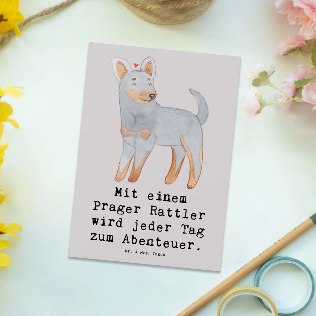 Postcard Mit einem Prager Rattler wird jeder Tag zum Abenteuer. Einladungskarte, Einladung, Ansichtskarten, Geburtstagskarte, Grußkarte, Karte, Ansichtskarte, Einladungskarten Geburtstag, Postkarte, Dankeskarte, Geschenkkarte, Einladung Geburtstag, Hund, Hunderasse, Rassehund, Hundebesitzer, Geschenk, Tierfreund, Schenken, Welpe
