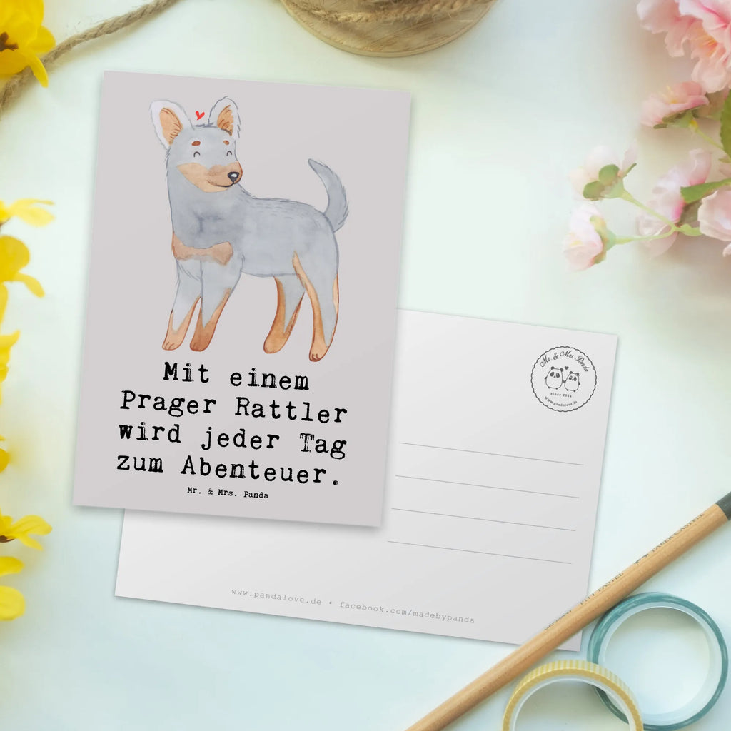 Postcard Mit einem Prager Rattler wird jeder Tag zum Abenteuer. Einladungskarte, Einladung, Ansichtskarten, Geburtstagskarte, Grußkarte, Karte, Ansichtskarte, Einladungskarten Geburtstag, Postkarte, Dankeskarte, Geschenkkarte, Einladung Geburtstag, Hund, Hunderasse, Rassehund, Hundebesitzer, Geschenk, Tierfreund, Schenken, Welpe
