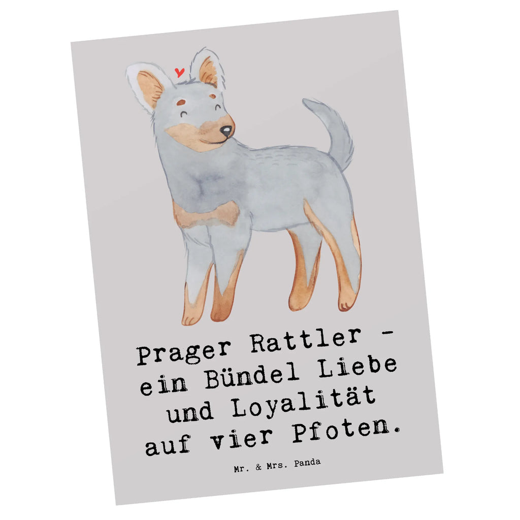 Postcard Prager Rattler - ein Bündel Liebe und Loyalität auf vier Pfoten. Karte, Ansichtskarten, Grußkarte, Dankeskarte, Postkarte, Einladung Geburtstag, Einladungskarte, Einladung, Geburtstagskarte, Geschenkkarte, Einladungskarten Geburtstag, Ansichtskarte, Hund, Hunderasse, Rassehund, Hundebesitzer, Geschenk, Tierfreund, Schenken, Welpe