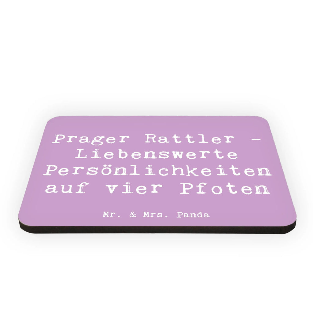 Magnet Saying Prager Rattler - Liebenswerte Persönlichkeiten auf vier Pfoten Kühlschrank Dekoration, Dekomagnet, Pinnwandmagnet, Kühlschrankmagnet, Souvenir Magnet, Notiz Magnet, Whiteboard Magnet, Motivmagnete, Hund, Hunderasse, Rassehund, Hundebesitzer, Geschenk, Tierfreund, Schenken, Welpe