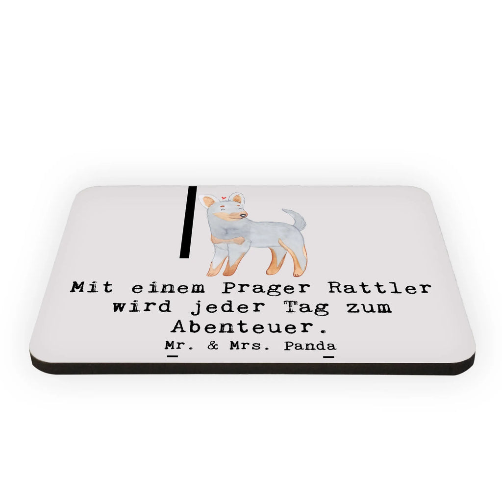 Magnet Prager Rattler Abenteuer Kühlschrankmagnet, Pinnwandmagnet, Whiteboard Magnet, Kühlschrank Dekoration, Souvenir Magnet, Dekomagnet, Notiz Magnet, Motivmagnete, Hund, Hunderasse, Rassehund, Hundebesitzer, Geschenk, Tierfreund, Schenken, Welpe