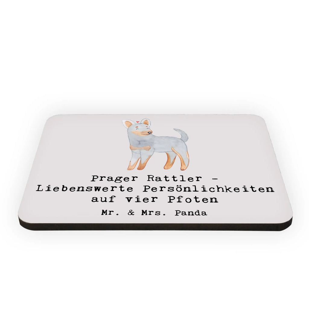 Magnet Prager Rattler - Liebenswerte Persönlichkeiten auf vier Pfoten Whiteboard Magnet, Kühlschrankmagnet, Notiz Magnet, Souvenir Magnet, Kühlschrank Dekoration, Pinnwandmagnet, Motivmagnete, Dekomagnet, Hund, Hunderasse, Rassehund, Hundebesitzer, Geschenk, Tierfreund, Schenken, Welpe