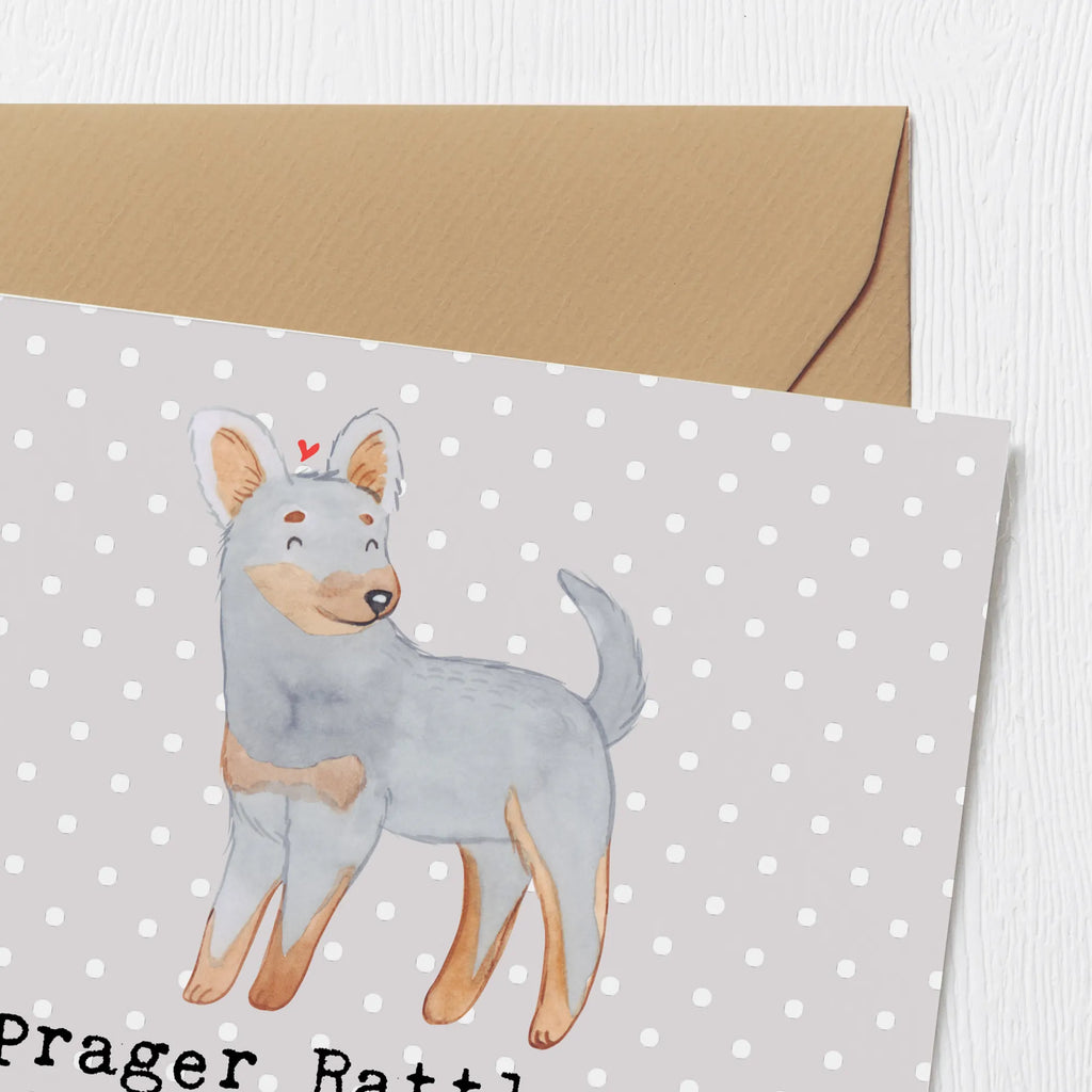 Deluxe Karte Prager Rattler Klappkarte, Hochwertige Klappkarte, Grußkarte, Karte, Hochzeitskarte, Geburtstagskarte, Hochwertige Grußkarte, Einladungskarte, Glückwunschkarte, Hund, Hunderasse, Rassehund, Hundebesitzer, Geschenk, Tierfreund, Schenken, Welpe