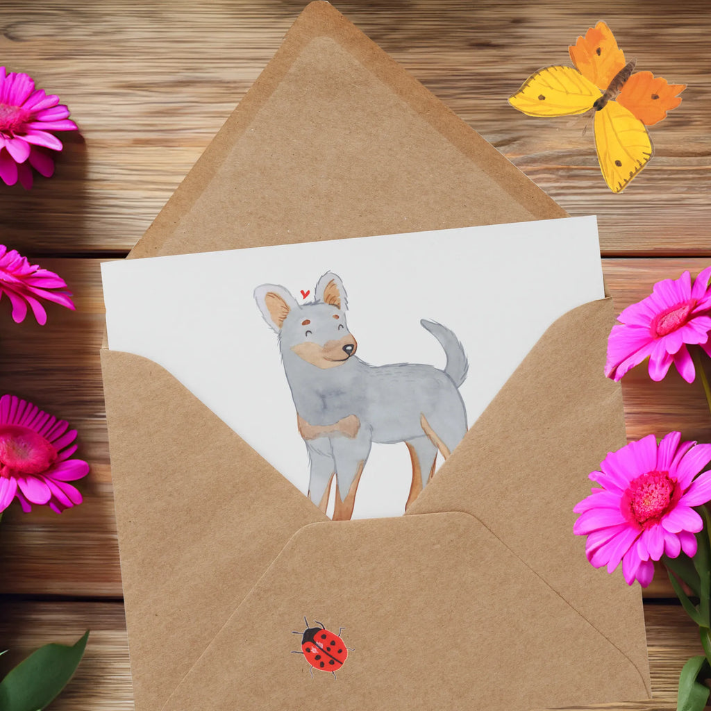 Deluxe Karte Prager Rattler Abenteuer Klappkarte, Glückwunschkarte, Einladungskarte, Geburtstagskarte, Hochwertige Klappkarte, Hochzeitskarte, Grußkarte, Karte, Hochwertige Grußkarte, Hund, Hunderasse, Rassehund, Hundebesitzer, Geschenk, Tierfreund, Schenken, Welpe