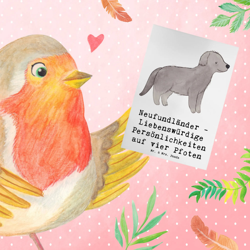 Greetings card Neufundländer - Liebenswürdige Persönlichkeiten auf vier Pfoten Einladungskarte, Geburtstagskarte, Glückwunschkarte, Karte, Hochzeitskarte, Ansichtskarten, Klappkarte, Grußkarte, Hund, Hunderasse, Rassehund, Hundebesitzer, Geschenk, Tierfreund, Schenken, Welpe