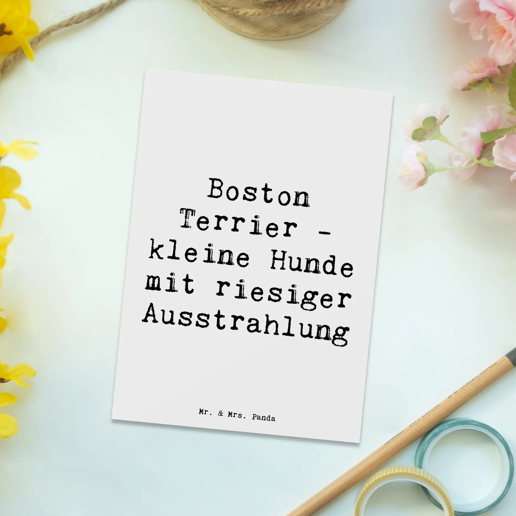 Postkarte Spruch Boston Terrier Ansichtskarte, Einladungskarten Geburtstag, Karte, Grußkarte, Geschenkkarte, Ansichtskarten, Postkarte, Einladungskarte, Geburtstagskarte, Einladung Geburtstag, Dankeskarte, Einladung, Hund, Hunderasse, Rassehund, Hundebesitzer, Geschenk, Tierfreund, Schenken, Welpe