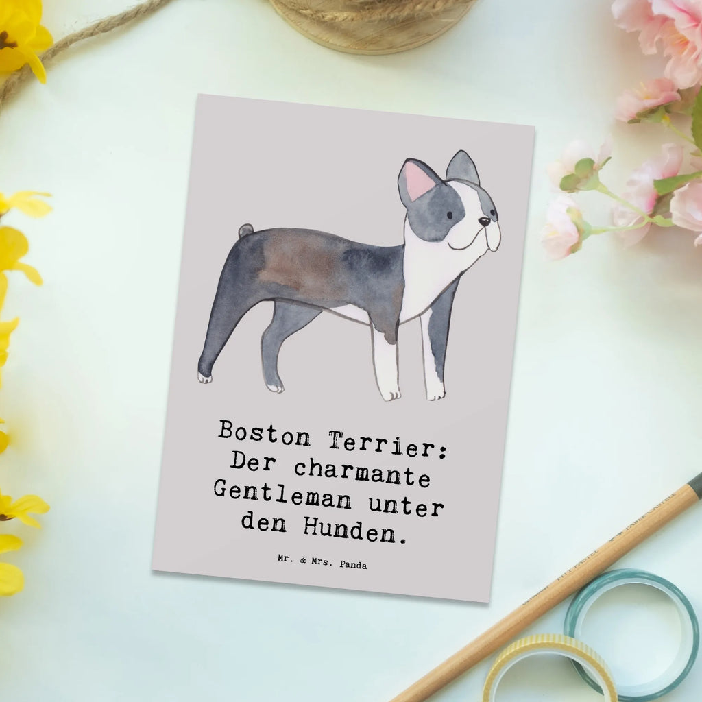 Postcard Boston Terrier: Der charmante Gentleman unter den Hunden. Karte, Geschenkkarte, Einladung, Geburtstagskarte, Einladung Geburtstag, Grußkarte, Ansichtskarten, Einladungskarte, Ansichtskarte, Dankeskarte, Einladungskarten Geburtstag, Postkarte, Hund, Hunderasse, Rassehund, Hundebesitzer, Geschenk, Tierfreund, Schenken, Welpe