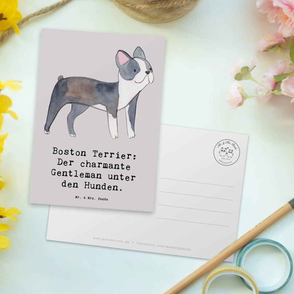 Postcard Boston Terrier: Der charmante Gentleman unter den Hunden. Karte, Geschenkkarte, Einladung, Geburtstagskarte, Einladung Geburtstag, Grußkarte, Ansichtskarten, Einladungskarte, Ansichtskarte, Dankeskarte, Einladungskarten Geburtstag, Postkarte, Hund, Hunderasse, Rassehund, Hundebesitzer, Geschenk, Tierfreund, Schenken, Welpe