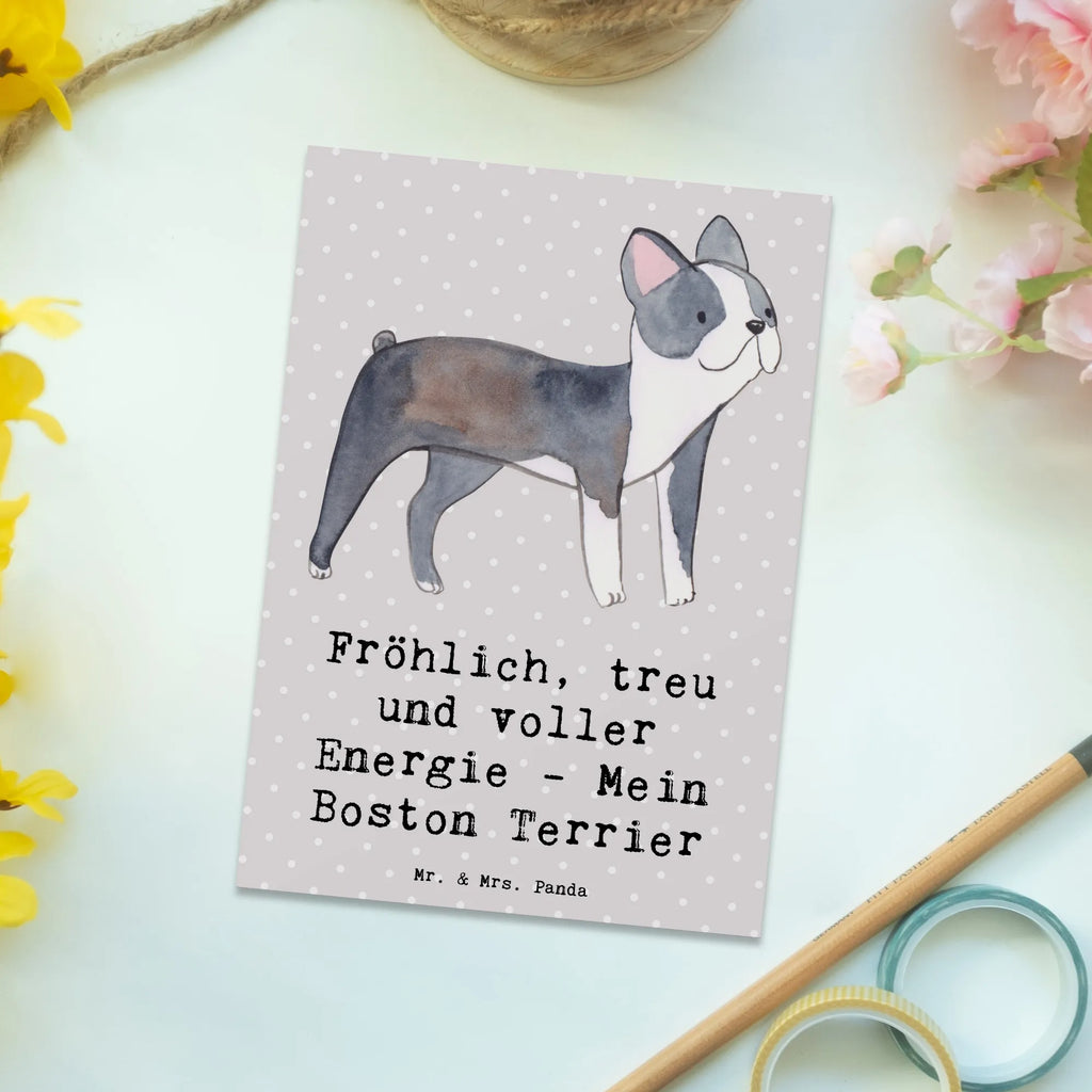 Postkarte Boston Terrier Freude Geschenkkarte, Postkarte, Karte, Ansichtskarten, Ansichtskarte, Einladungskarte, Geburtstagskarte, Dankeskarte, Einladungskarten Geburtstag, Einladung Geburtstag, Grußkarte, Einladung, Hund, Hunderasse, Rassehund, Hundebesitzer, Geschenk, Tierfreund, Schenken, Welpe