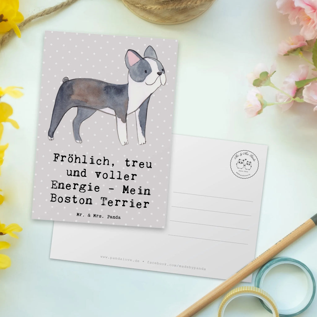Postkarte Boston Terrier Freude Geschenkkarte, Postkarte, Karte, Ansichtskarten, Ansichtskarte, Einladungskarte, Geburtstagskarte, Dankeskarte, Einladungskarten Geburtstag, Einladung Geburtstag, Grußkarte, Einladung, Hund, Hunderasse, Rassehund, Hundebesitzer, Geschenk, Tierfreund, Schenken, Welpe