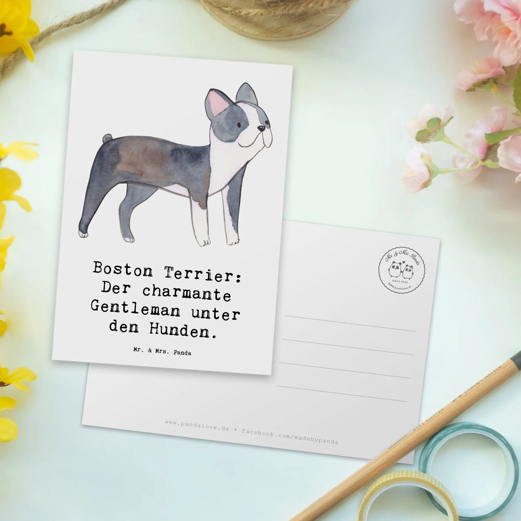 Postcard Boston Terrier: Der charmante Gentleman unter den Hunden. Karte, Geschenkkarte, Einladung, Geburtstagskarte, Einladung Geburtstag, Grußkarte, Ansichtskarten, Einladungskarte, Ansichtskarte, Dankeskarte, Einladungskarten Geburtstag, Postkarte, Hund, Hunderasse, Rassehund, Hundebesitzer, Geschenk, Tierfreund, Schenken, Welpe