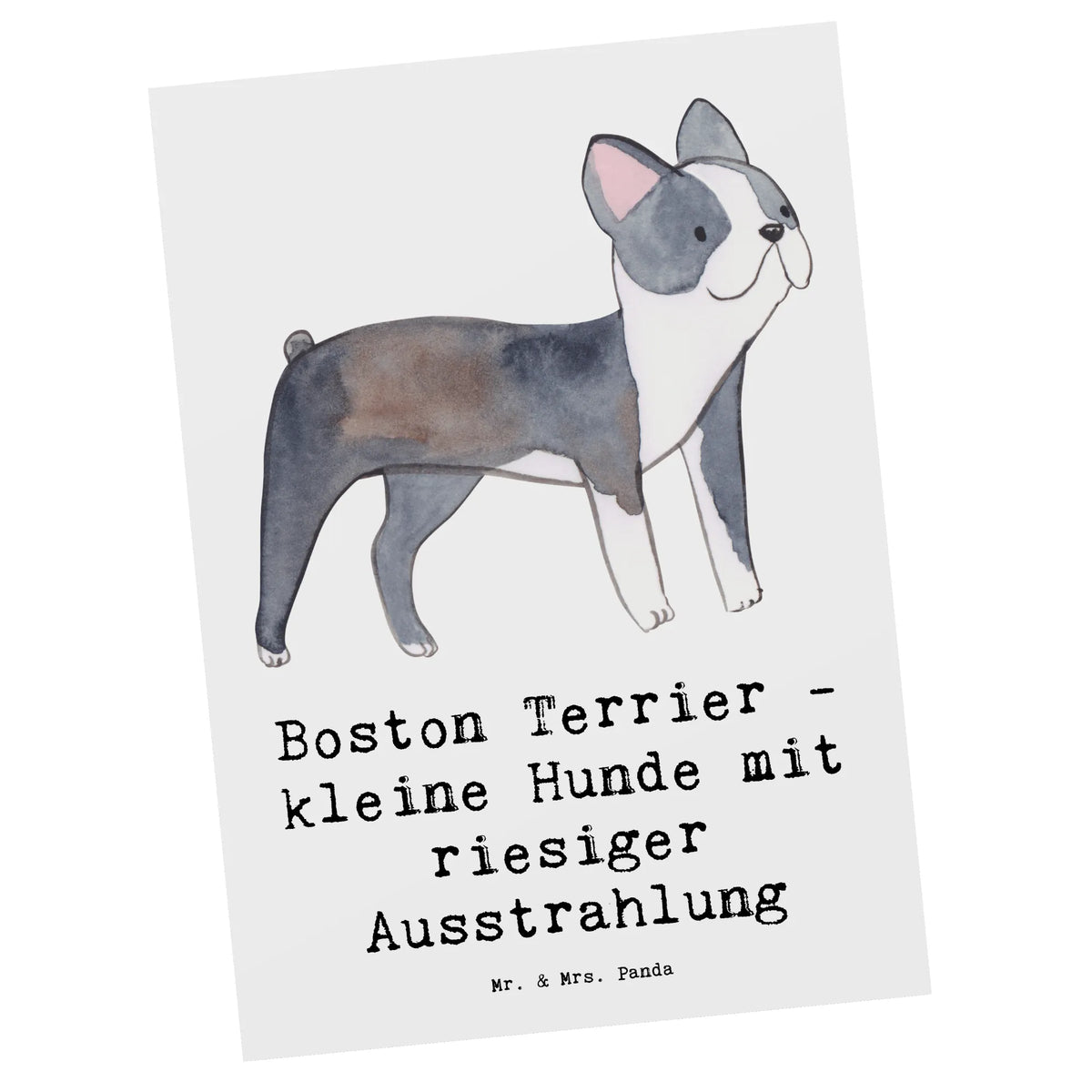 Postkarte Boston Terrier Fotokarte, Grußkarte, Ansichtskarten, kunstkarte, Postkarten, spruchkarte, Ansichtskarte, Motivkarte, Designkarte, Kunstkarten, bildkarte, Postkarte, einzelkarte, Geschenk, Schenken, Hund, Hunderasse, Rassehund, Hundebesitzer, Tierfreund, Welpe