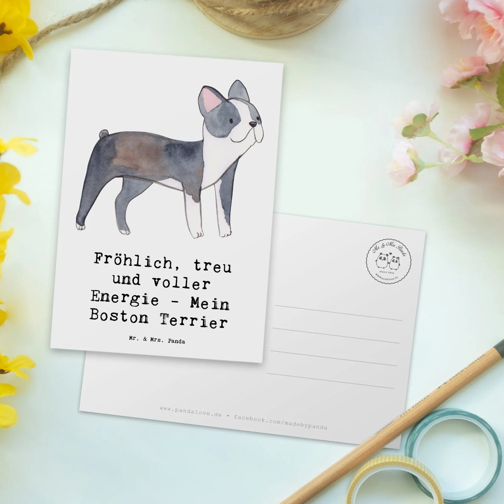 Postkarte Boston Terrier Freude Geschenkkarte, Postkarte, Karte, Ansichtskarten, Ansichtskarte, Einladungskarte, Geburtstagskarte, Dankeskarte, Einladungskarten Geburtstag, Einladung Geburtstag, Grußkarte, Einladung, Hund, Hunderasse, Rassehund, Hundebesitzer, Geschenk, Tierfreund, Schenken, Welpe