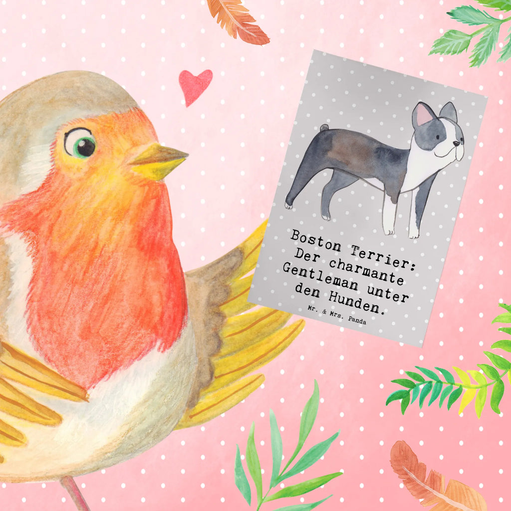 Grußkarte Boston Terrier Gentleman Ansichtskarten, Karte, Klappkarte, Einladungskarte, Grußkarte, Geburtstagskarte, Hochzeitskarte, Glückwunschkarte, Hund, Hunderasse, Rassehund, Hundebesitzer, Geschenk, Tierfreund, Schenken, Welpe