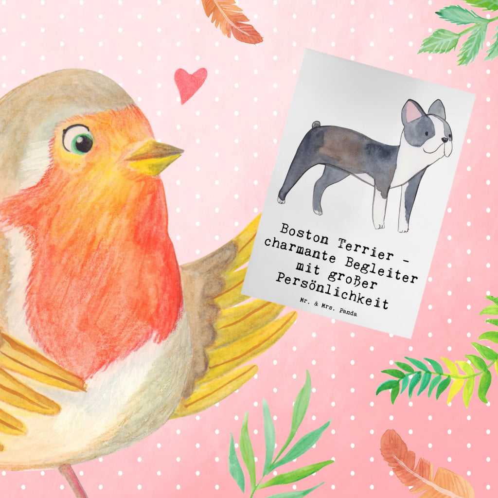 Greetings card Boston Terrier - charmante Begleiter mit großer Persönlichkeit Geburtstagskarte, Karte, Glückwunschkarte, Klappkarte, Hochzeitskarte, Grußkarte, Einladungskarte, Ansichtskarten, Hund, Hunderasse, Rassehund, Hundebesitzer, Geschenk, Tierfreund, Schenken, Welpe