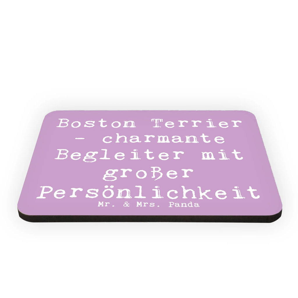 Magnet Saying Boston Terrier - charmante Begleiter mit großer Persönlichkeit Kühlschrankmagnet, Kühlschrank Dekoration, Whiteboard Magnet, Dekomagnet, Souvenir Magnet, Motivmagnete, Notiz Magnet, Pinnwandmagnet, Hund, Hunderasse, Rassehund, Hundebesitzer, Geschenk, Tierfreund, Schenken, Welpe