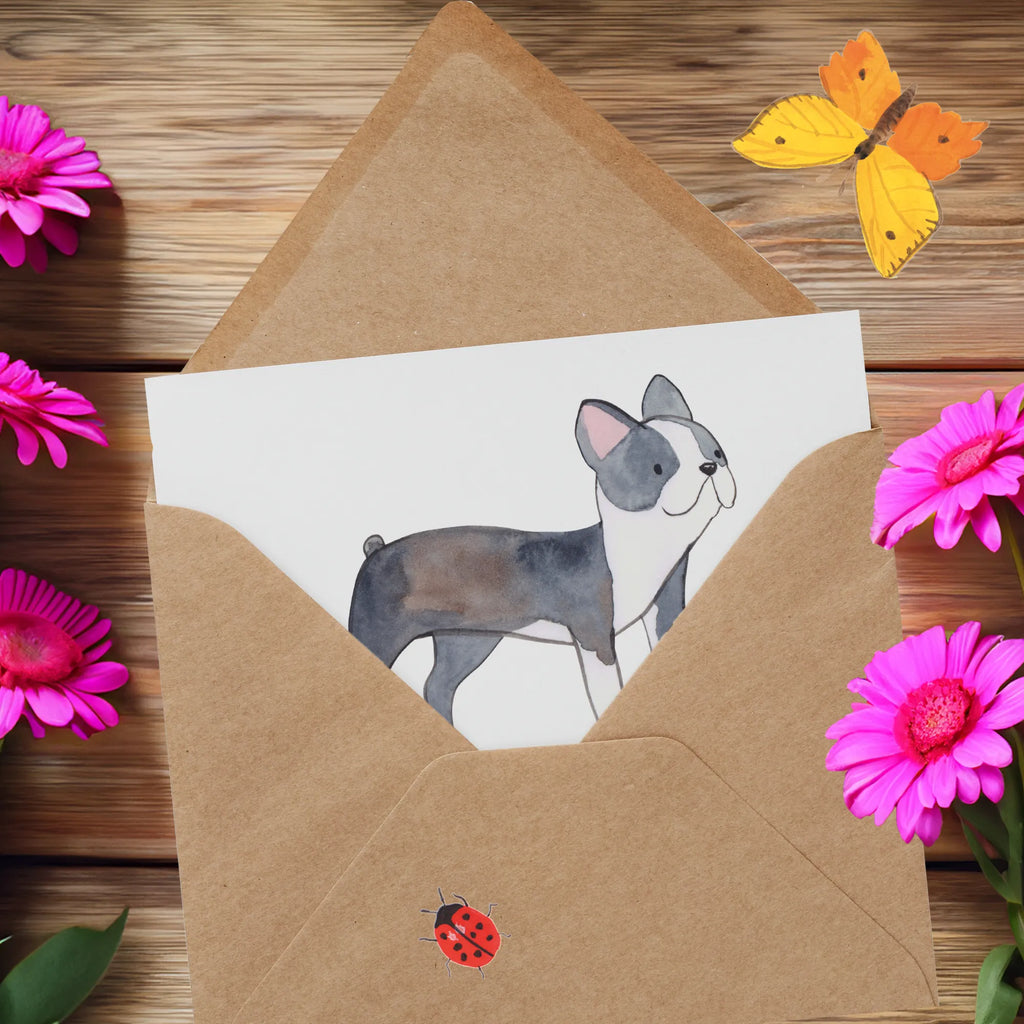 Deluxe Card Fröhlich, treu und voller Energie - Mein Boston Terrier Geburtstagskarte, Grußkarte, Glückwunschkarte, Einladungskarte, Karte, Hochwertige Grußkarte, Hochzeitskarte, Klappkarte, Hochwertige Klappkarte, Hund, Hunderasse, Rassehund, Hundebesitzer, Geschenk, Tierfreund, Schenken, Welpe