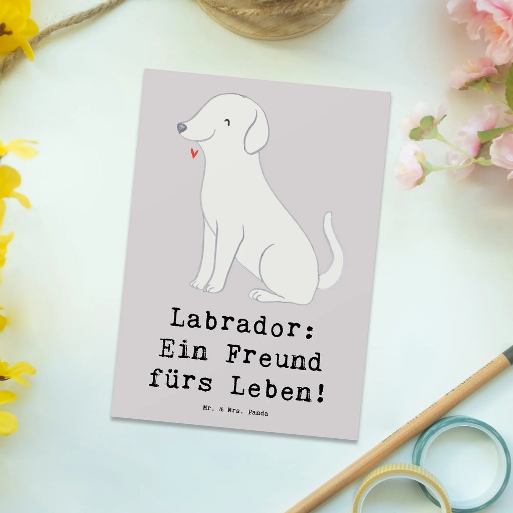 Postcard Labrador: Ein Freund fürs Leben! Einladung Geburtstag, Karte, Geburtstagskarte, Dankeskarte, Einladung, Postkarte, Ansichtskarten, Geschenkkarte, Ansichtskarte, Einladungskarten Geburtstag, Einladungskarte, Grußkarte, Hund, Hunderasse, Rassehund, Hundebesitzer, Geschenk, Tierfreund, Schenken, Welpe