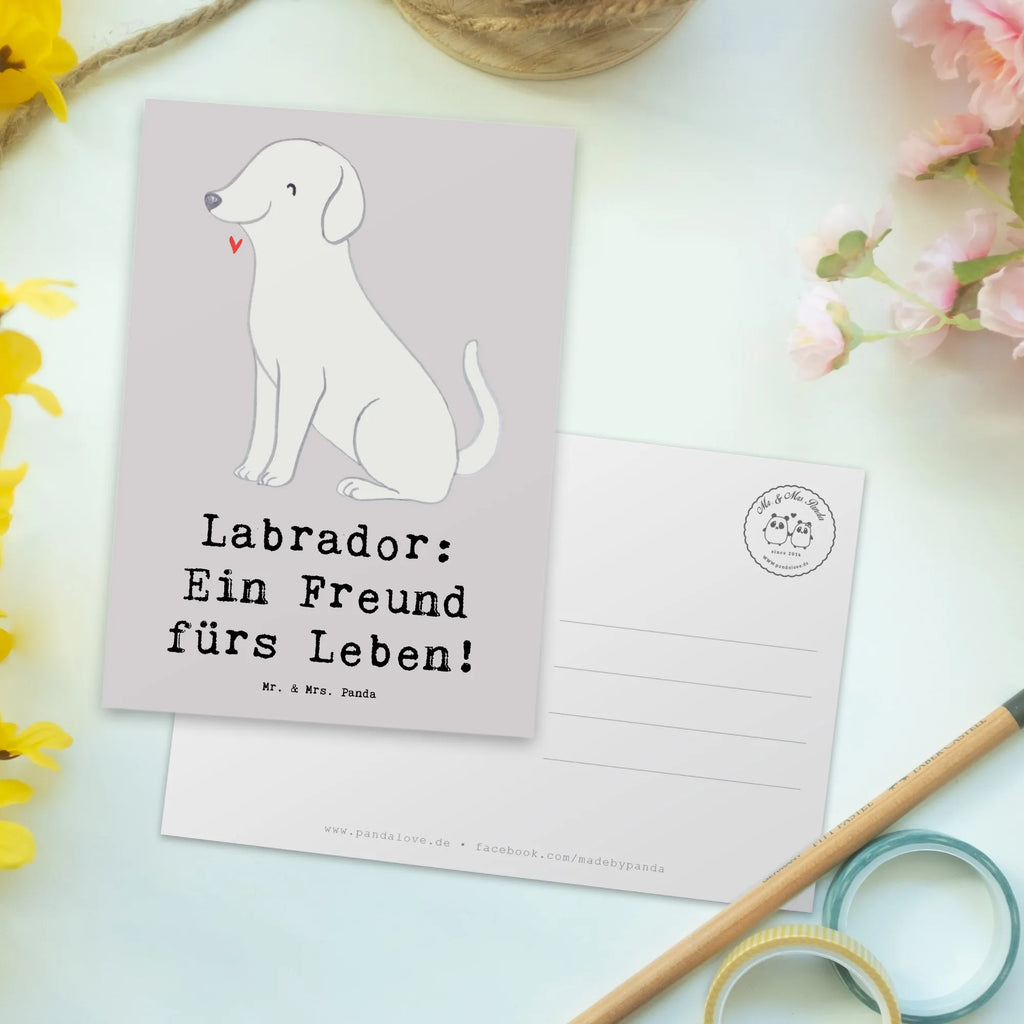 Postcard Labrador: Ein Freund fürs Leben! Einladung Geburtstag, Karte, Geburtstagskarte, Dankeskarte, Einladung, Postkarte, Ansichtskarten, Geschenkkarte, Ansichtskarte, Einladungskarten Geburtstag, Einladungskarte, Grußkarte, Hund, Hunderasse, Rassehund, Hundebesitzer, Geschenk, Tierfreund, Schenken, Welpe