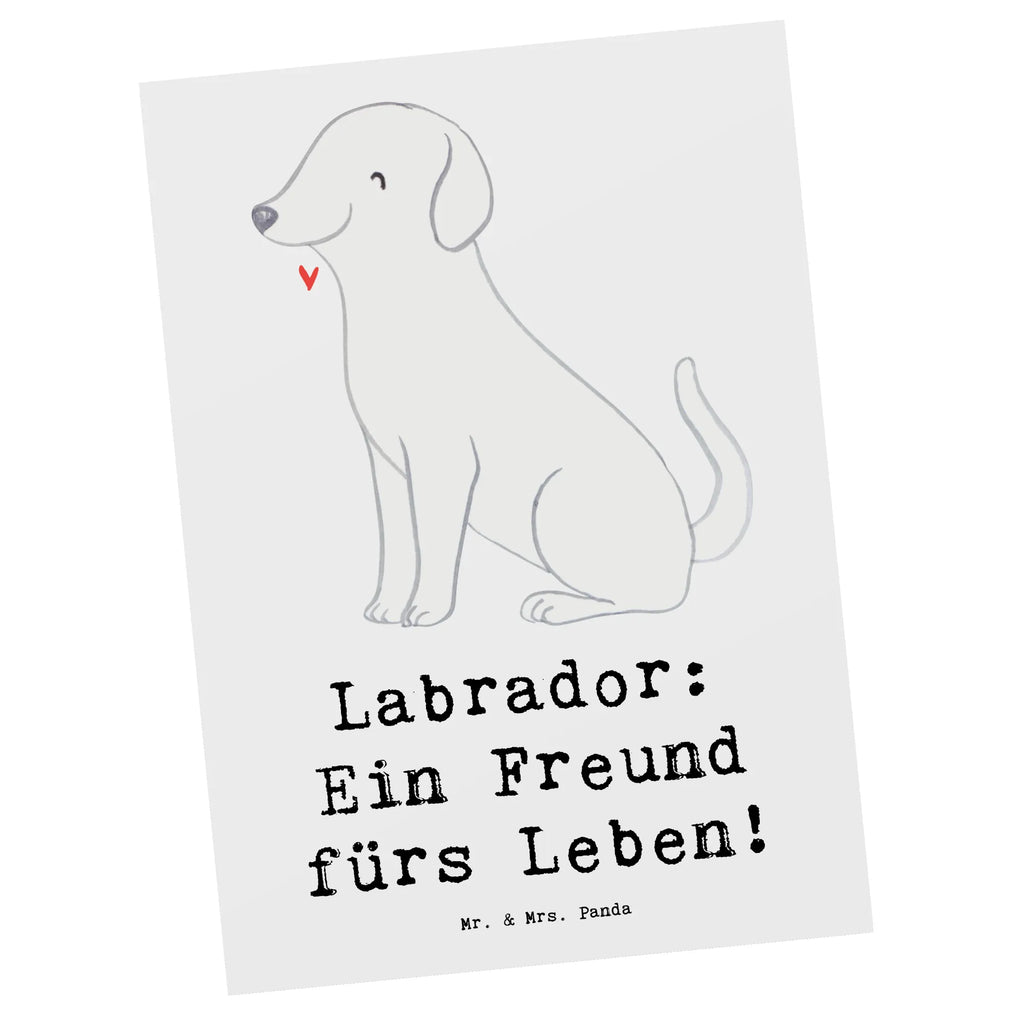 Postcard Labrador: Ein Freund fürs Leben! Einladung Geburtstag, Karte, Geburtstagskarte, Dankeskarte, Einladung, Postkarte, Ansichtskarten, Geschenkkarte, Ansichtskarte, Einladungskarten Geburtstag, Einladungskarte, Grußkarte, Hund, Hunderasse, Rassehund, Hundebesitzer, Geschenk, Tierfreund, Schenken, Welpe