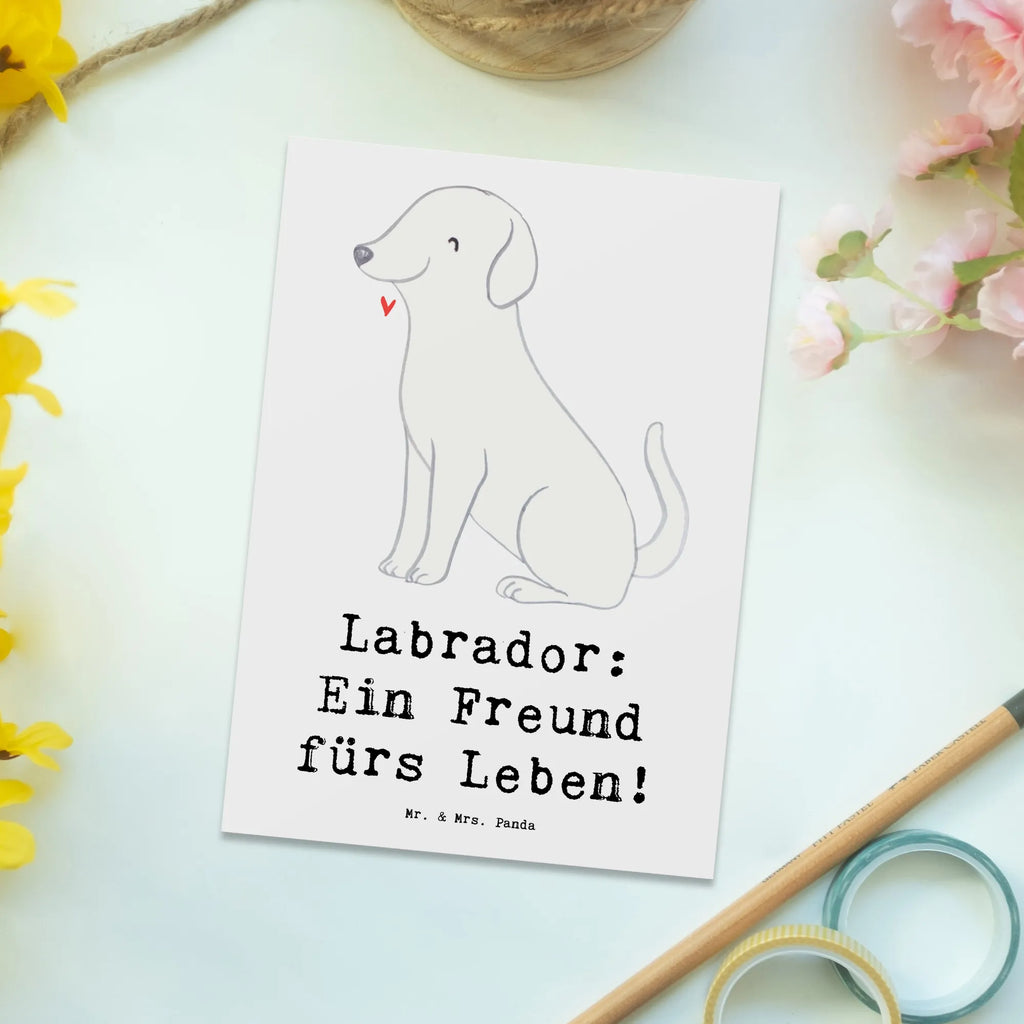 Postcard Labrador: Ein Freund fürs Leben! Einladung Geburtstag, Karte, Geburtstagskarte, Dankeskarte, Einladung, Postkarte, Ansichtskarten, Geschenkkarte, Ansichtskarte, Einladungskarten Geburtstag, Einladungskarte, Grußkarte, Hund, Hunderasse, Rassehund, Hundebesitzer, Geschenk, Tierfreund, Schenken, Welpe