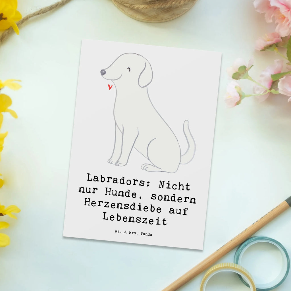 Postkarte Labrador Herzensdiebe Postkarte, Einladungskarte, Grußkarte, Karte, Ansichtskarten, Geburtstagskarte, Ansichtskarte, Geschenkkarte, Einladung, Dankeskarte, Einladungskarten Geburtstag, Einladung Geburtstag, Hund, Hunderasse, Rassehund, Hundebesitzer, Geschenk, Tierfreund, Schenken, Welpe