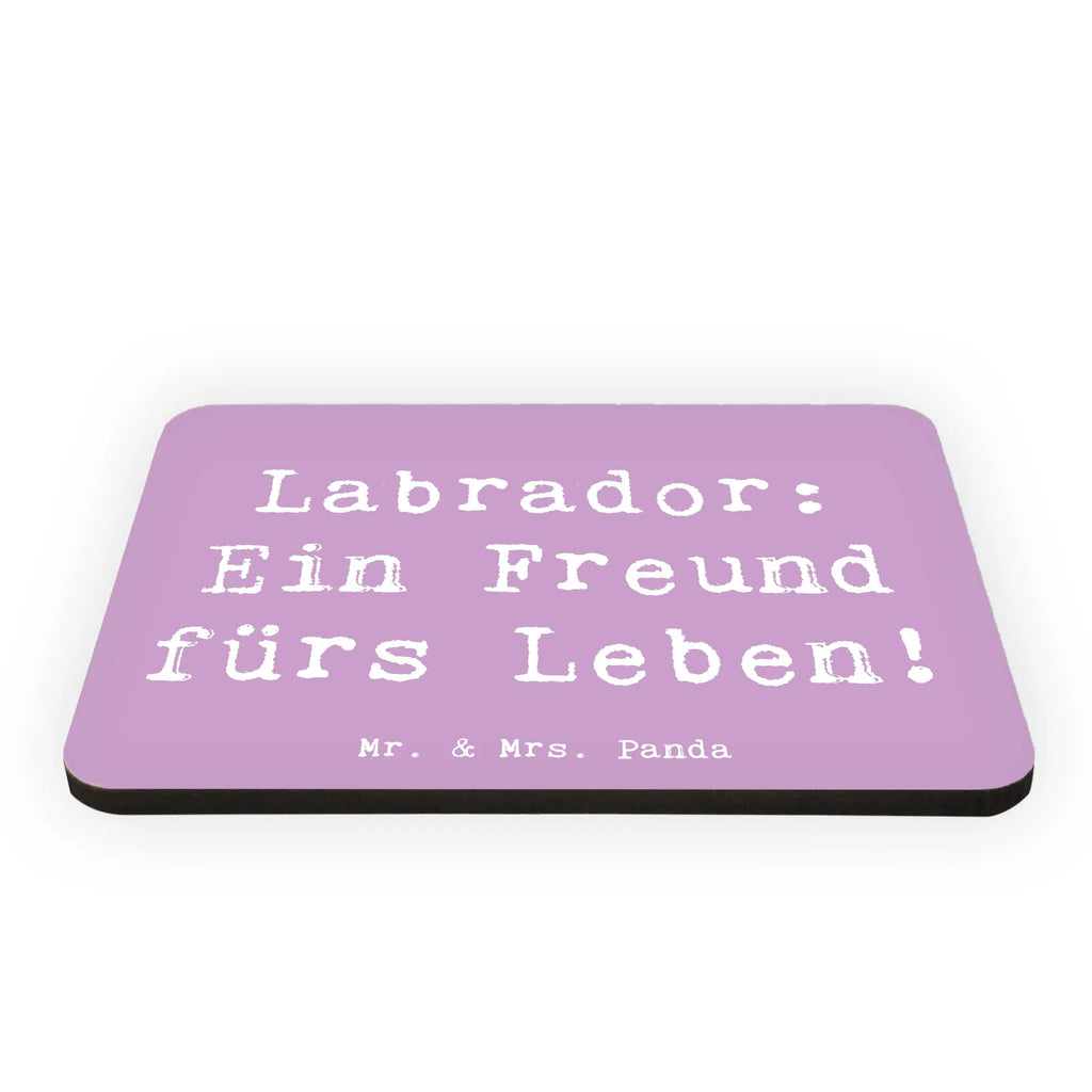 Magnet Spruch Labrador Freund Kühlschrank Dekoration, Whiteboard Magnet, Notiz Magnet, Motivmagnete, Dekomagnet, Kühlschrankmagnet, Souvenir Magnet, Pinnwandmagnet, Hund, Hunderasse, Rassehund, Hundebesitzer, Geschenk, Tierfreund, Schenken, Welpe